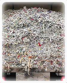 Shredded Product to be Recycled